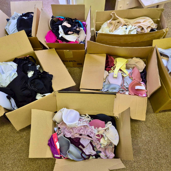 Several cardboard boxes filled with different coloured bras