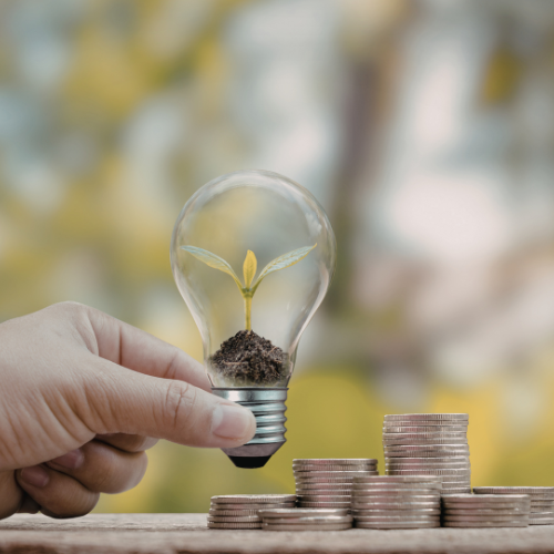 Person holding a lightbulb that has a plant growing inside it
